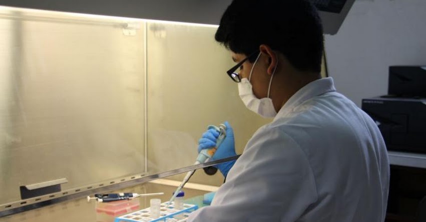 Universitarios ganan medalla de oro en competencia mundial de biotecnología - iGEM